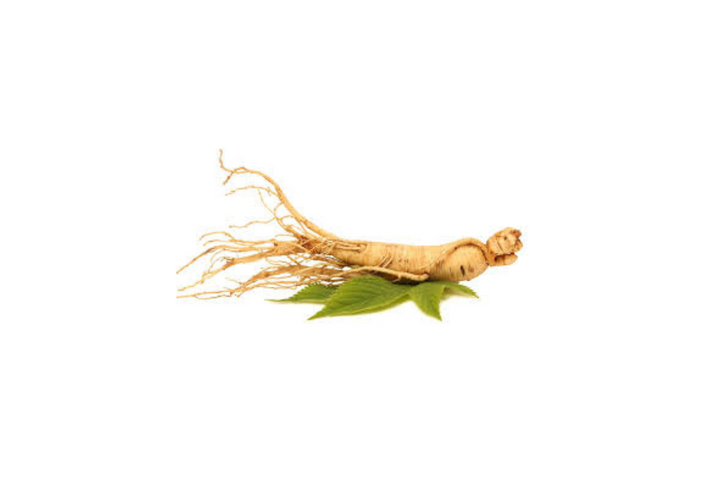 The Power of Ginseng